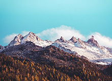 开云官网——开启奢华生活的新入口